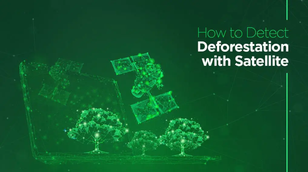 Dimitra - Detect deforestation with satellite