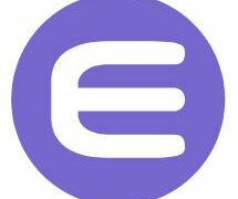 Enjin Logo Capture